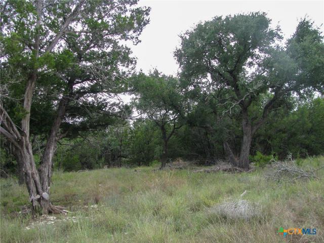 Land for sale in Evant, Hamilton County