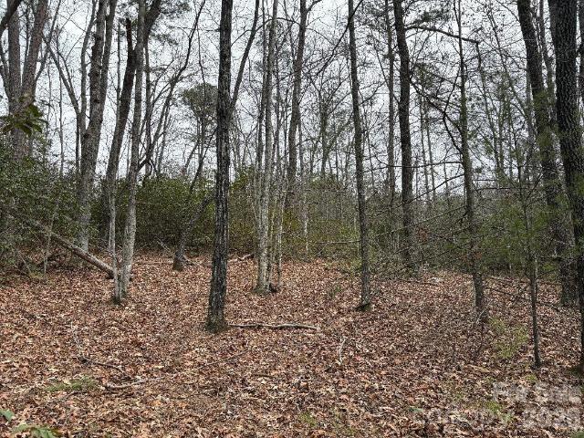Land for sale in Marion, North Carolina