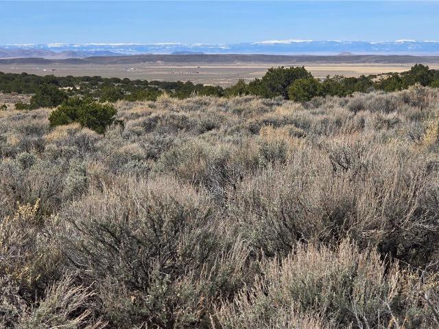 Land for sale in Fort Garland, Colorado