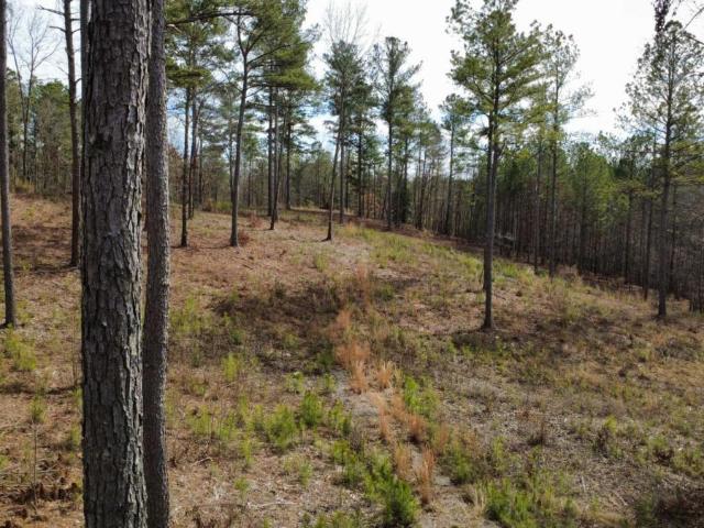 Land for sale in Gilmer, Georgia