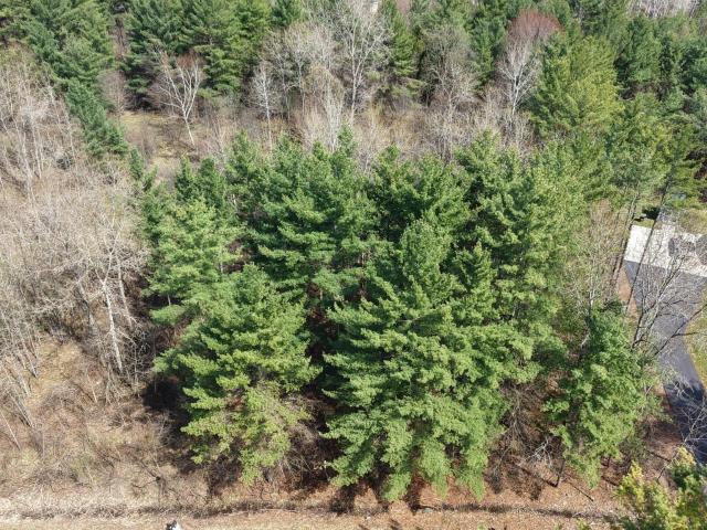 Land for sale in Wagarville, Michigan