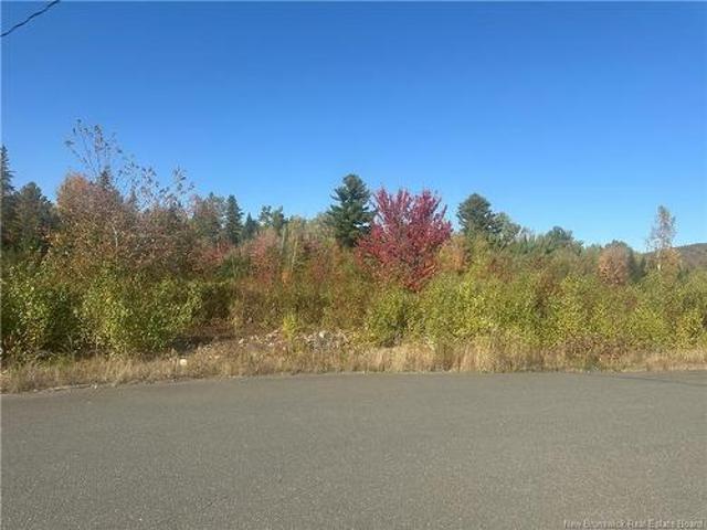 Land for sale in Carleton, New Brunswick