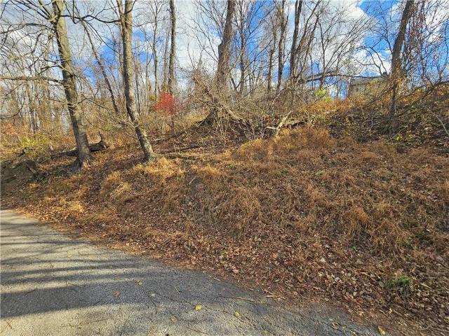 Land for sale in Monessen, Pennsylvania
