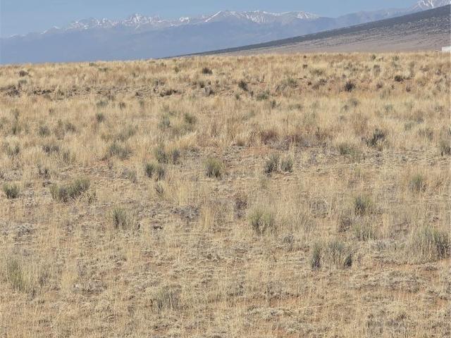 Land for sale in Blanca, Colorado