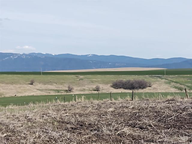 Land for sale in Grangeville, Idaho