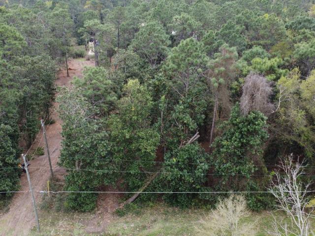 Land for sale in Alabama