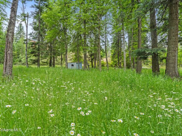Land for sale in Priest River, Idaho