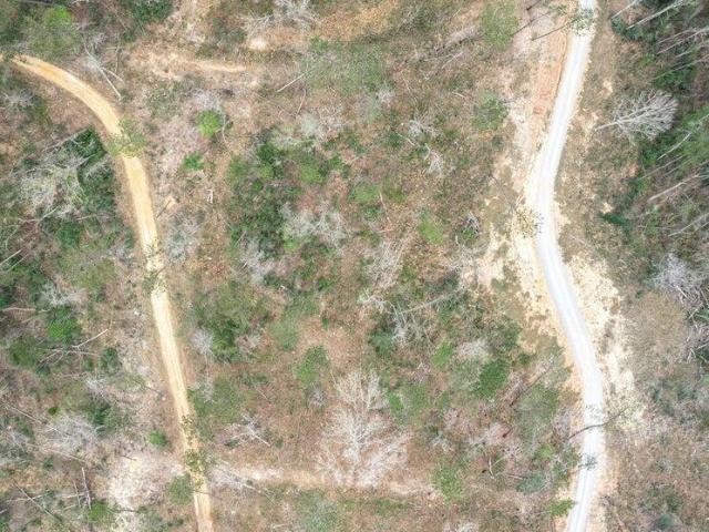 Land for sale in Sumrall, Mississippi