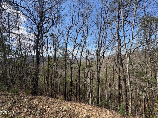 Land for sale in Mountain City, East Tennessee