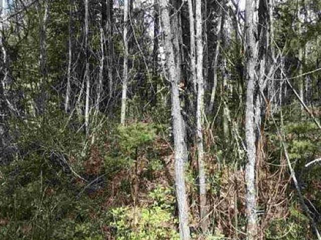Land for sale in British Columbia
