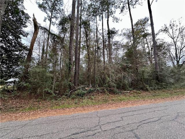 Land for sale in Lacombe, Louisiana