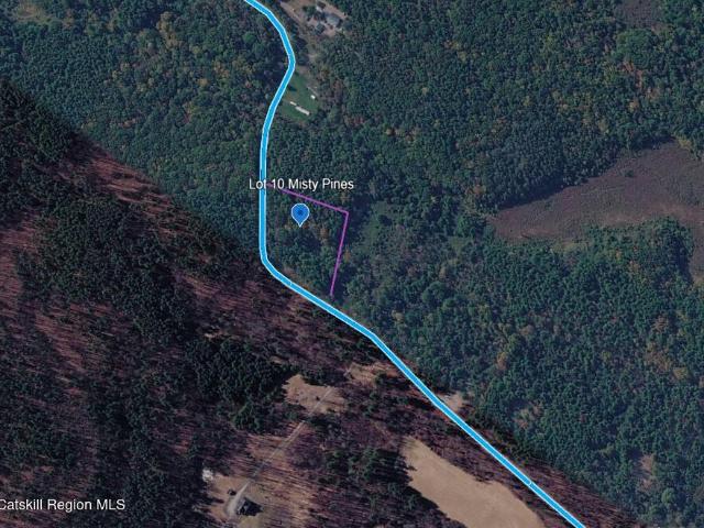 Land for sale in Town of New Baltimore, Greene County