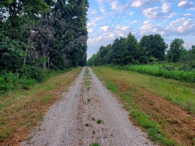Land for sale in Mount Vernon, Missouri