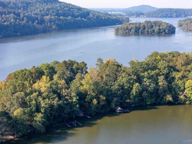 Land for sale in Cedar Bluff, Alabama