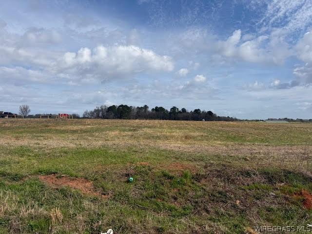 Land for sale in Enterprise, Alabama