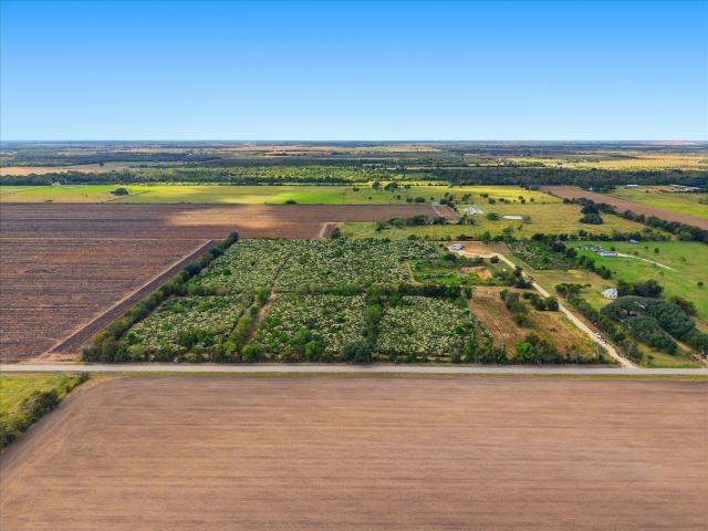 Land for sale in Damon, Texas