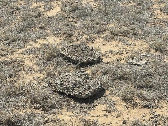 Land for sale in Walsenburg, Colorado