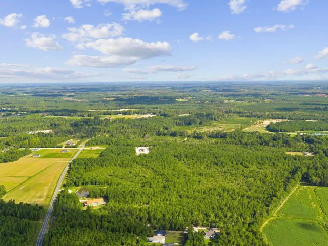 Land for sale in Galivants Ferry, Horry County