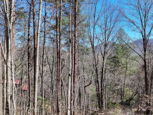 Land for sale in Blairsville, Union County