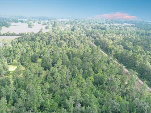 Land for sale in Walker, Texas