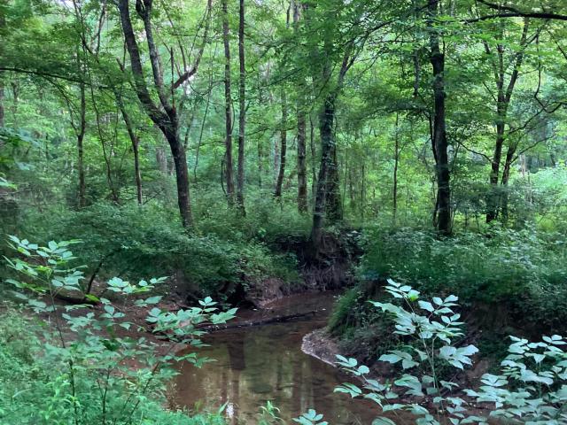 Land for sale in Tennessee