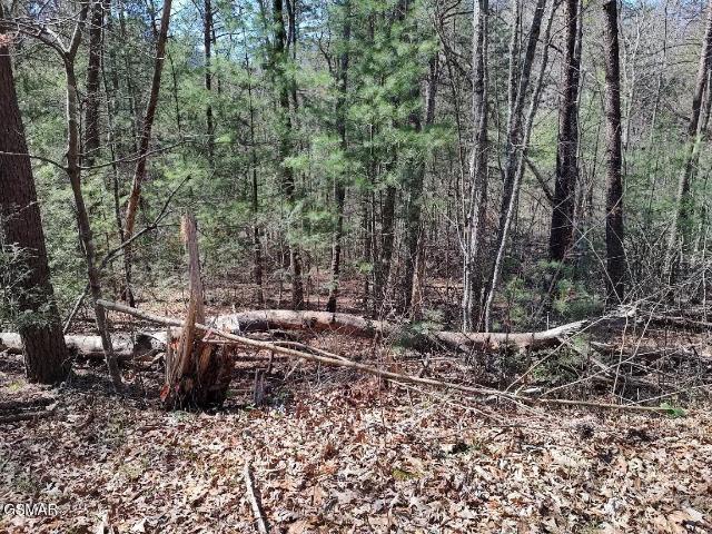 Land for sale in Tennessee