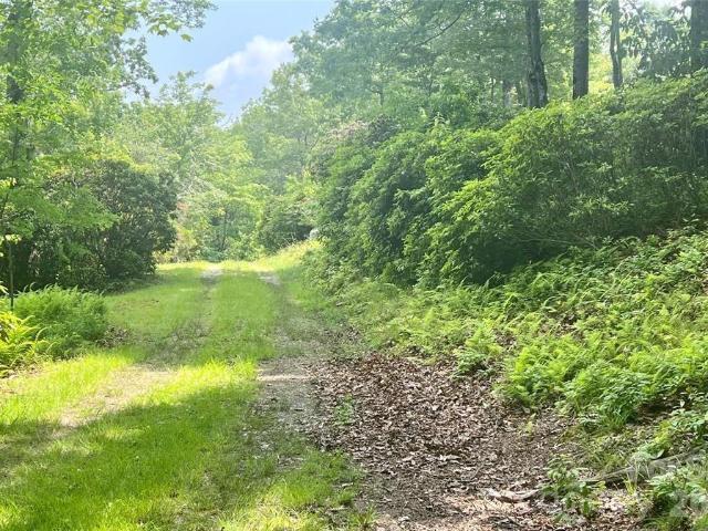 Land for sale in Transylvania, North Carolina
