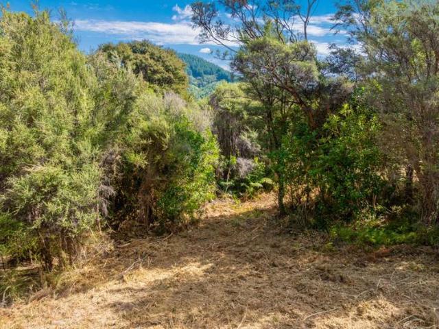 Property for sale in Marlborough