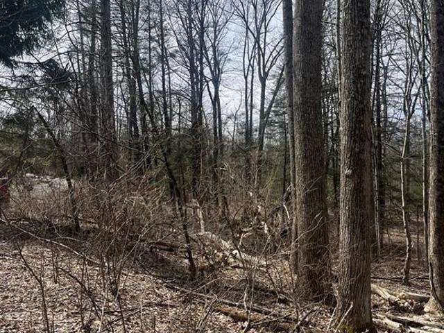 Land for sale in Gilbert, Pennsylvania