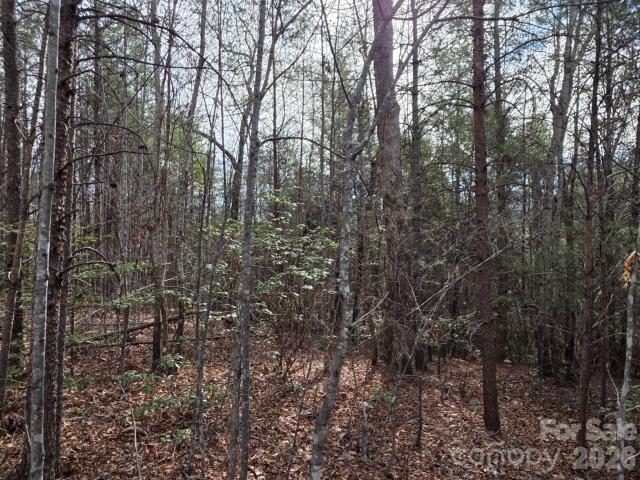 Land for sale in Old Fort, North Carolina