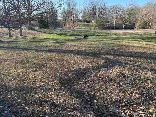 Land for sale in Taylorville, Illinois