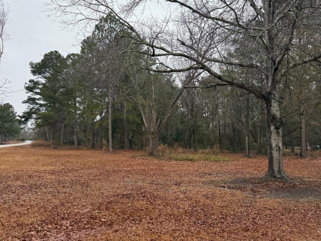 Land for sale in Statesboro, Georgia