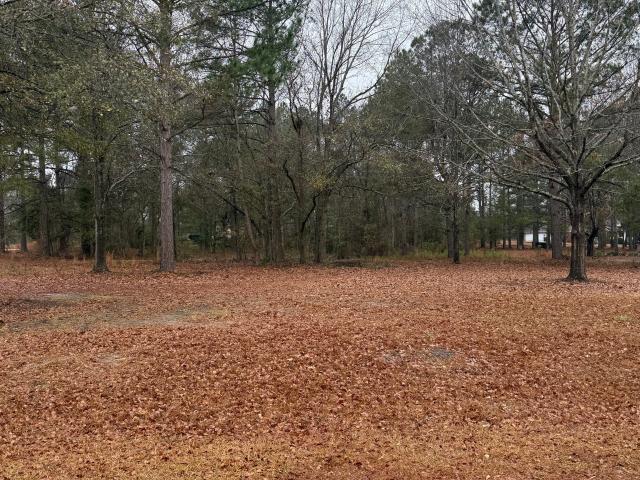 Land for sale in Statesboro, Georgia