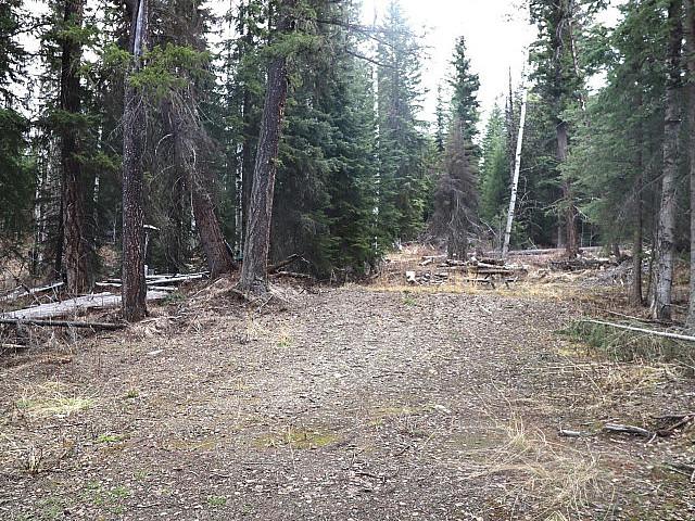 Land for sale in Caribou Hide, British Columbia