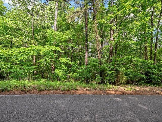 Land for sale in Falkville, Alabama