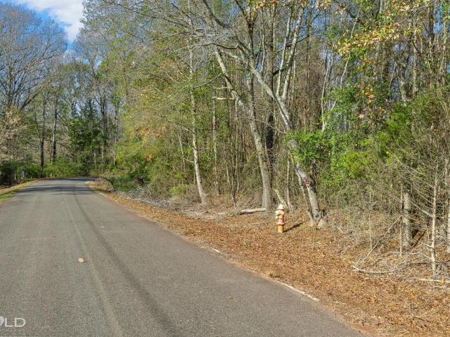Land for sale in Plain Dealing, Louisiana