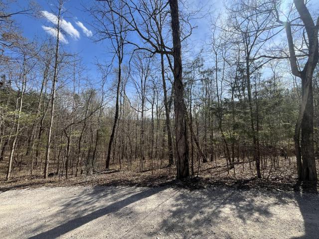Land for sale in Ravenna, Kentucky