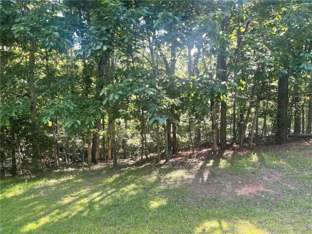 Land for sale in Ball Ground, Georgia