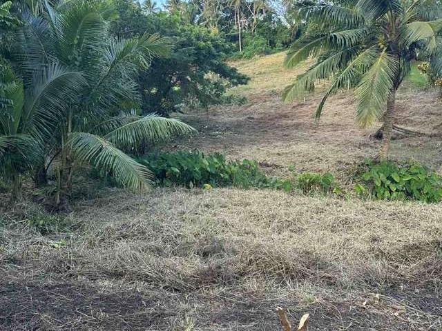 Land for sale
