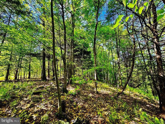 Land for sale in Robertsdale, Pennsylvania