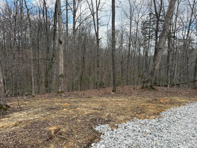 Land for sale in Monticello, Kentucky
