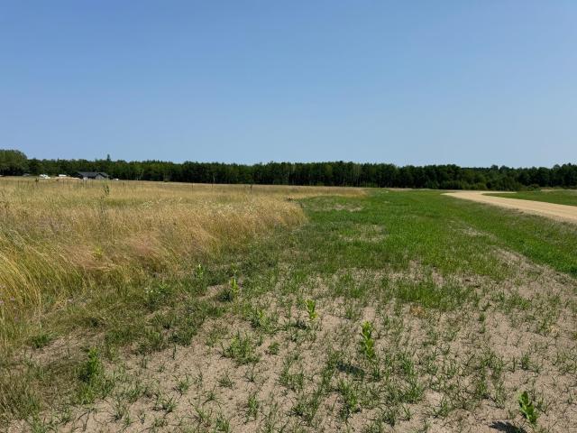 Land for sale in Bemidji, Beltrami County