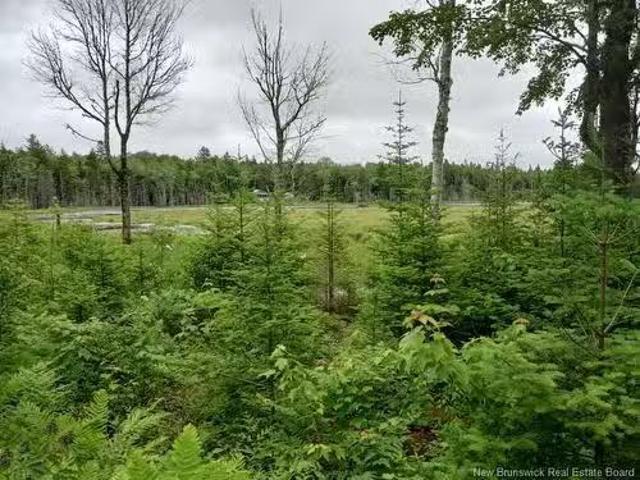 House for sale in Coal Creek, New Brunswick