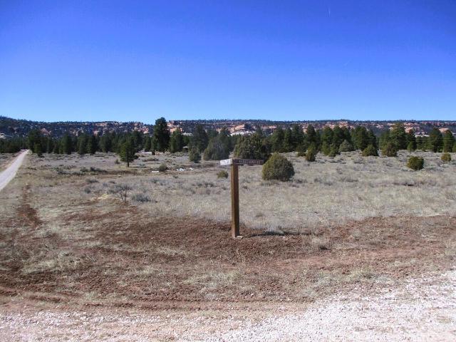 Land for sale in Ramah, New Mexico