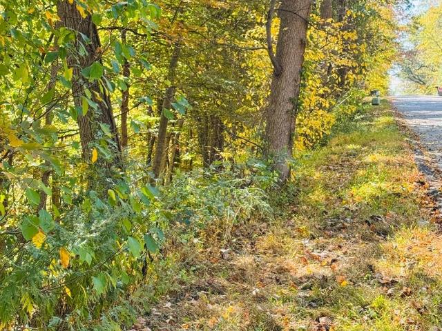 Land for sale in Putnam Valley, New York