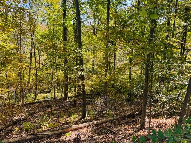 Land for sale in Putnam Valley, New York