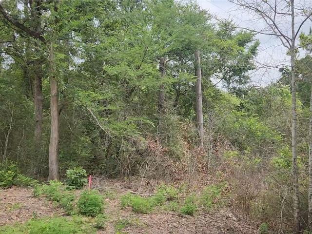 Land for sale in Grimes, Texas