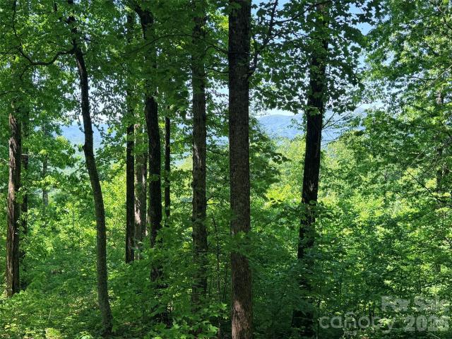 Land for sale in Black Mountain, North Carolina