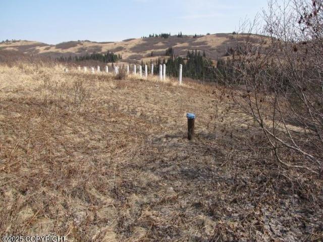Land for sale in Anchor Point