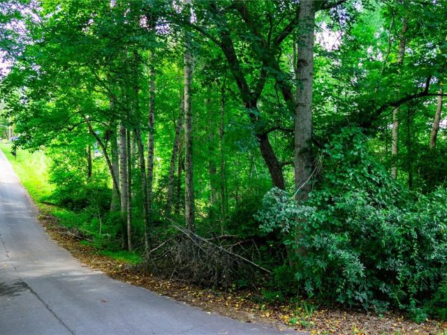 Land for sale in Pelzer, South Carolina